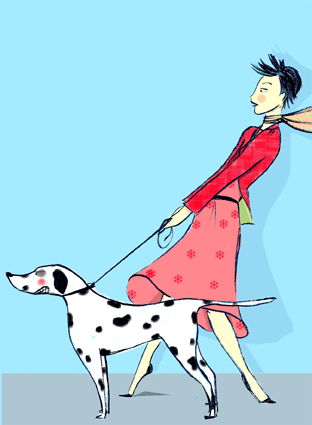 dog